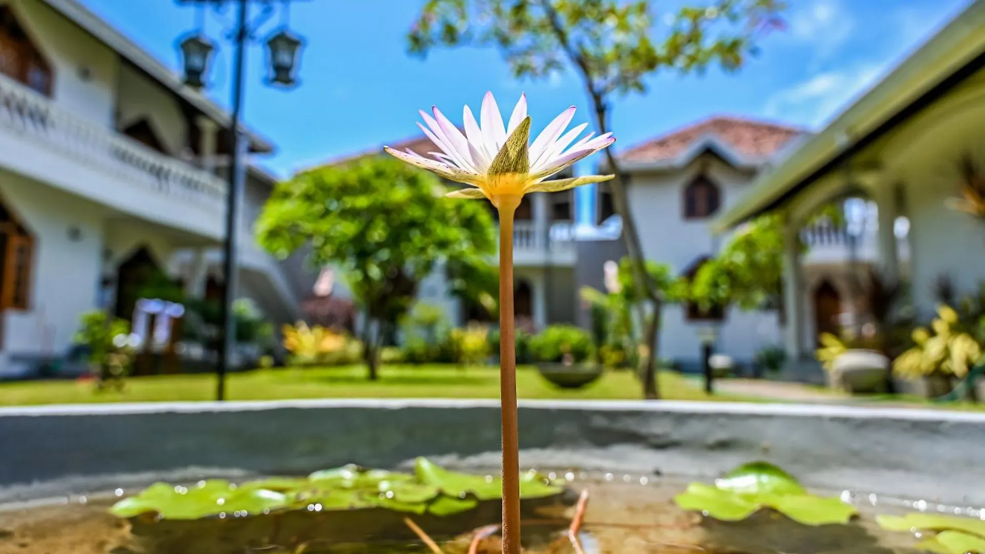 Paradise Holiday Village Negombo 3*,  Sri Lanka
